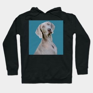 Turquoise Weimaraner Hoodie